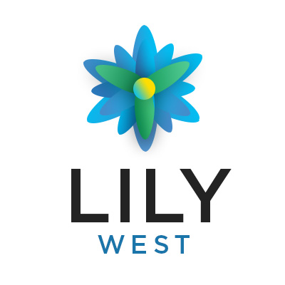 Web Design Pixel Engine Lily West
